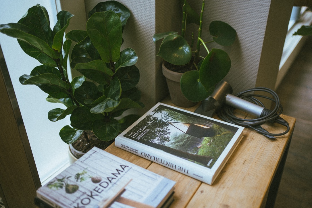 Books about nature and design beside leafy plants on a wooden salon table