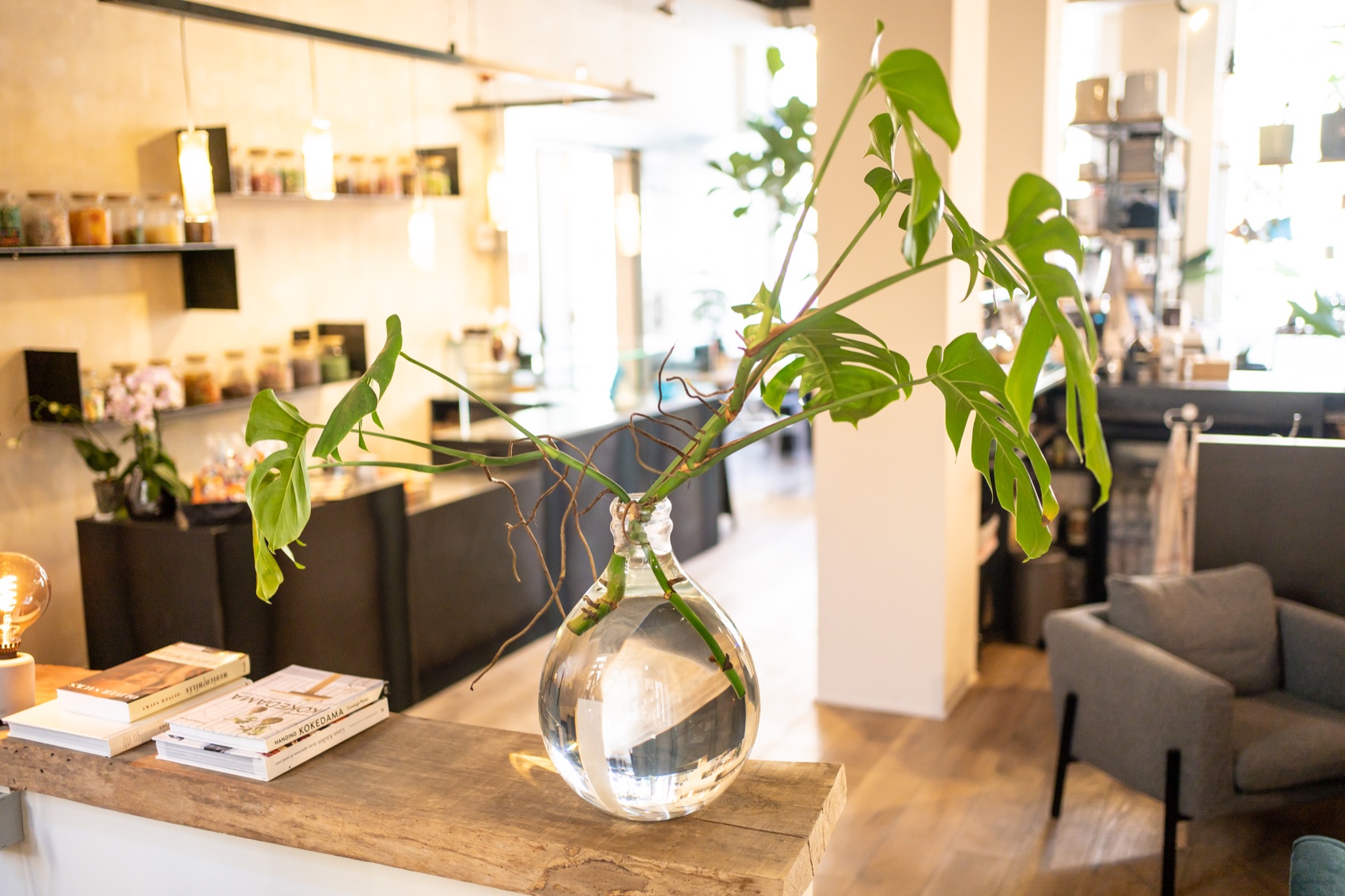 The urban jungle at Market By Jeremy
